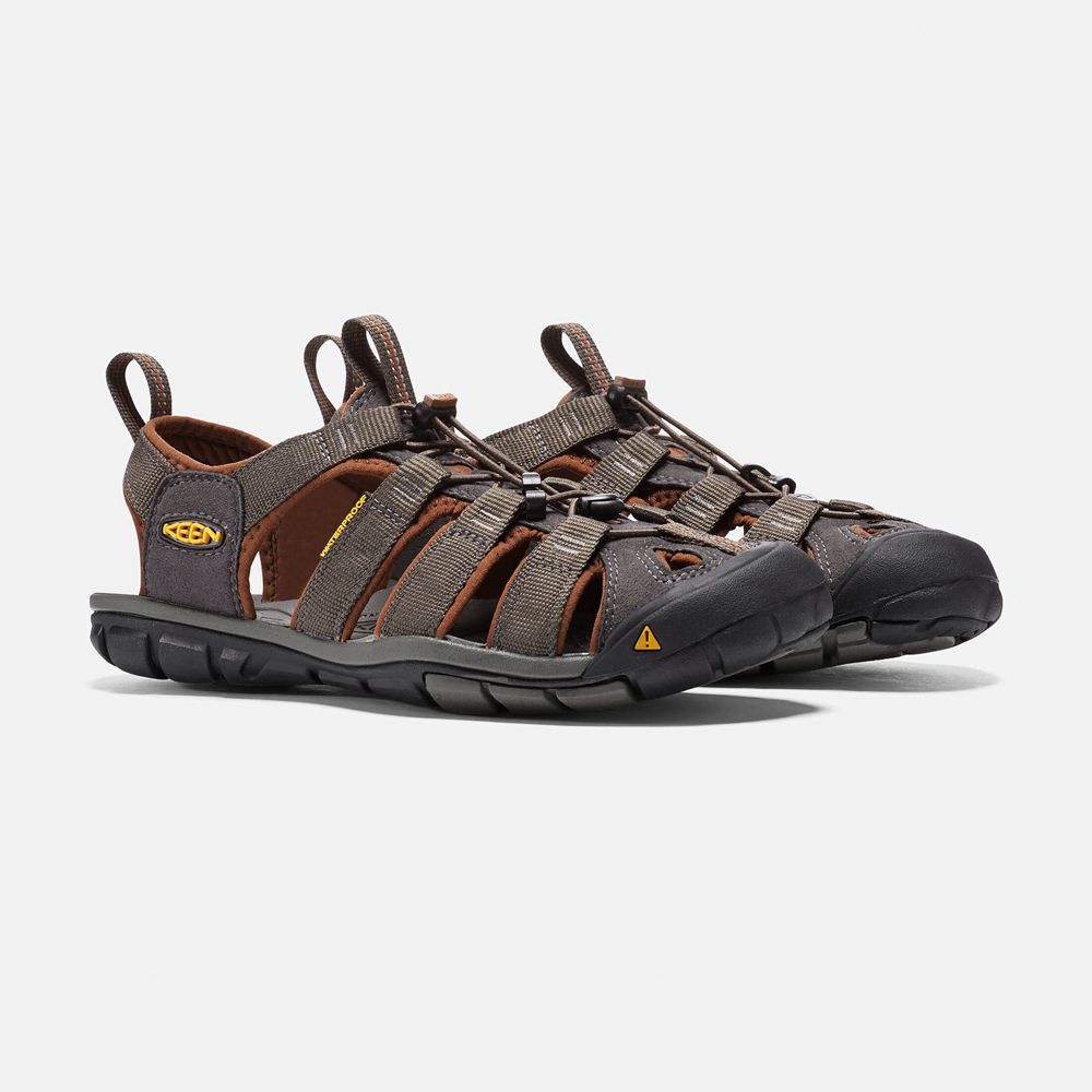 Sandales de Randonnée Keen Homme Marron | Clearwater Cnx | TZNPH-6850